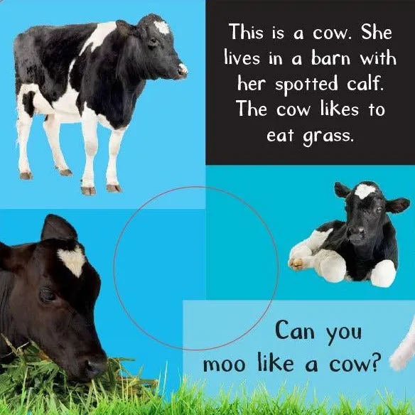 Noisy Farm Touch and Feel - Board Book