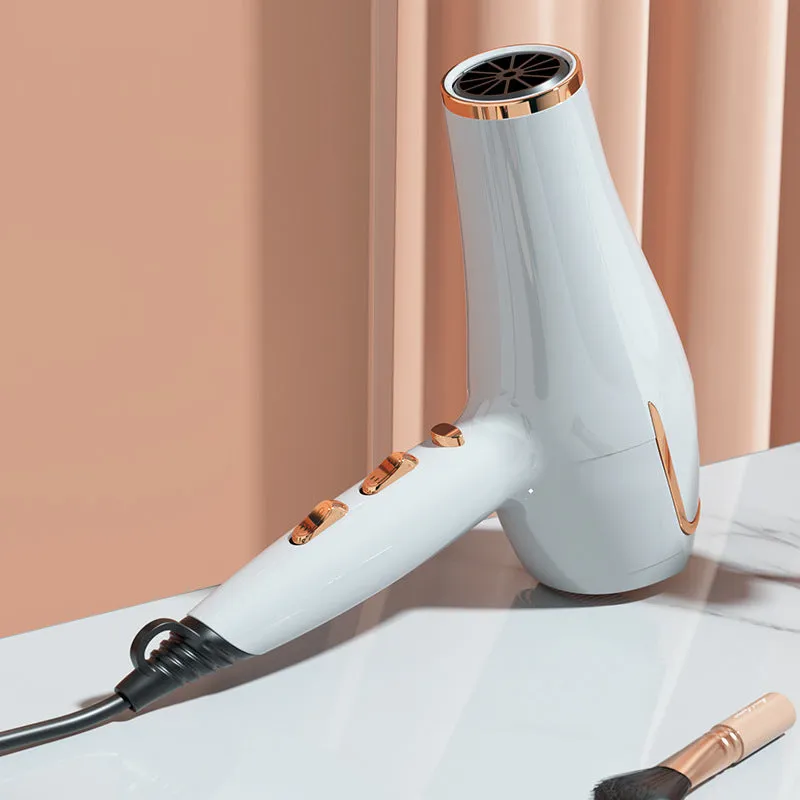 Professional Electric Hair Dryer